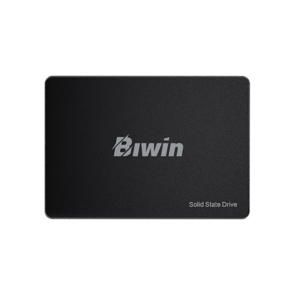 biwssdintbm100nn256g rgx 1 1.jpg
