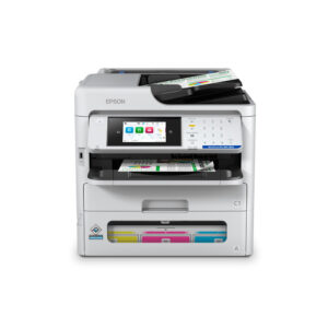 epsimpmulc11ck19301 1 1.jpg