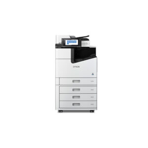 epsimpworc11ch86201 1 1.jpg