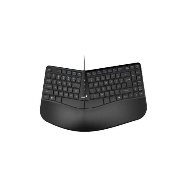 gentecusb31310053401 1 1.jpg