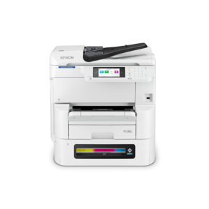 epsimpworc11cl31301 1 1.jpg