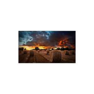 sammonhdmlh46vmbu 1 1.jpg