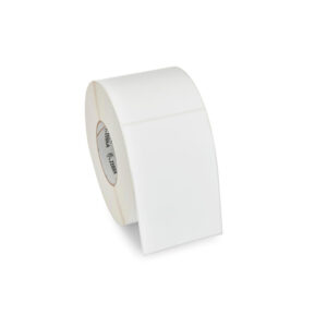 zebconeti10018351 1 1.jpg