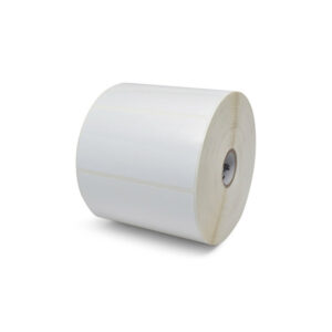 zebconeti10043288 1 1.jpg