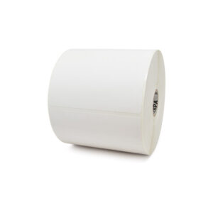 zebconeti10043289 1 1.jpg