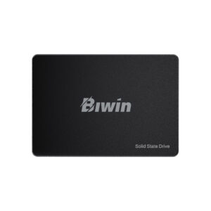 biwssdintbm100nn256g rgx 1 1.jpg